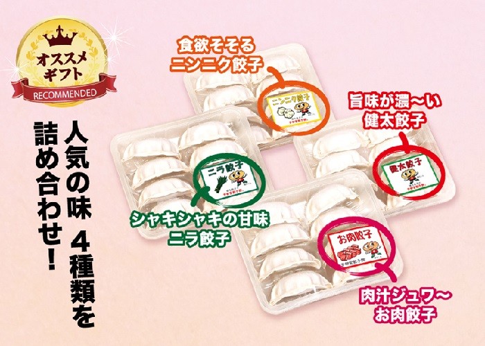 4色餃子セット
