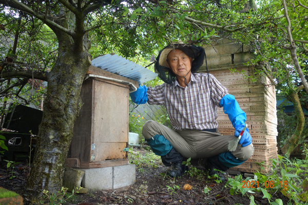 下仁田町の日本ミツバチだけの純粋はちみつ 600g 群馬県下仁田町 非