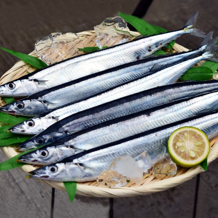 予約販売 生さんま 気仙沼港 水揚げ 10尾 秋刀魚 サンマ 秋の味覚 水揚げ次第順次発送 小野敏商店 Buyee Buyee Japanese Proxy Service Buy From Japan Bot Online