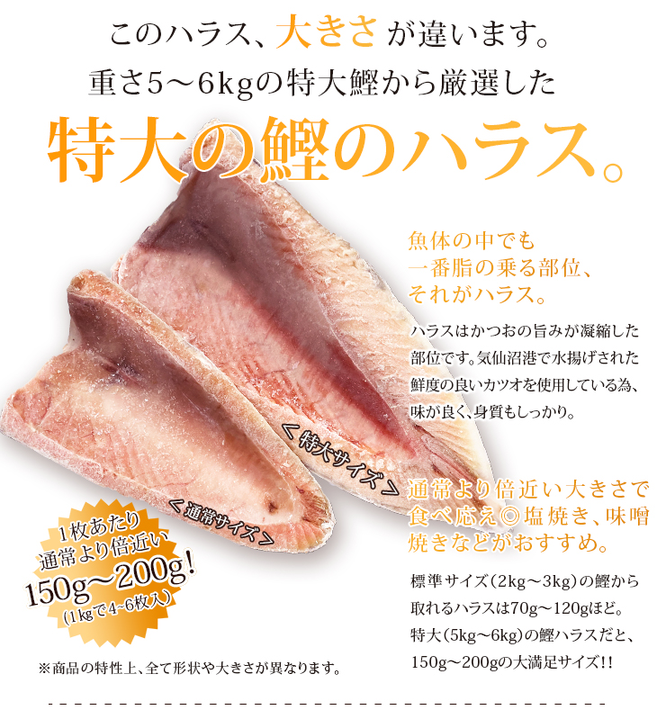 業務用 かつおのハラス 特大 冷凍 送料無料 (1kg×5袋) 村田漁業 東北 三陸 気仙沼水揚 ごはんのおとも 居酒屋メニュー 焼魚 カツオ