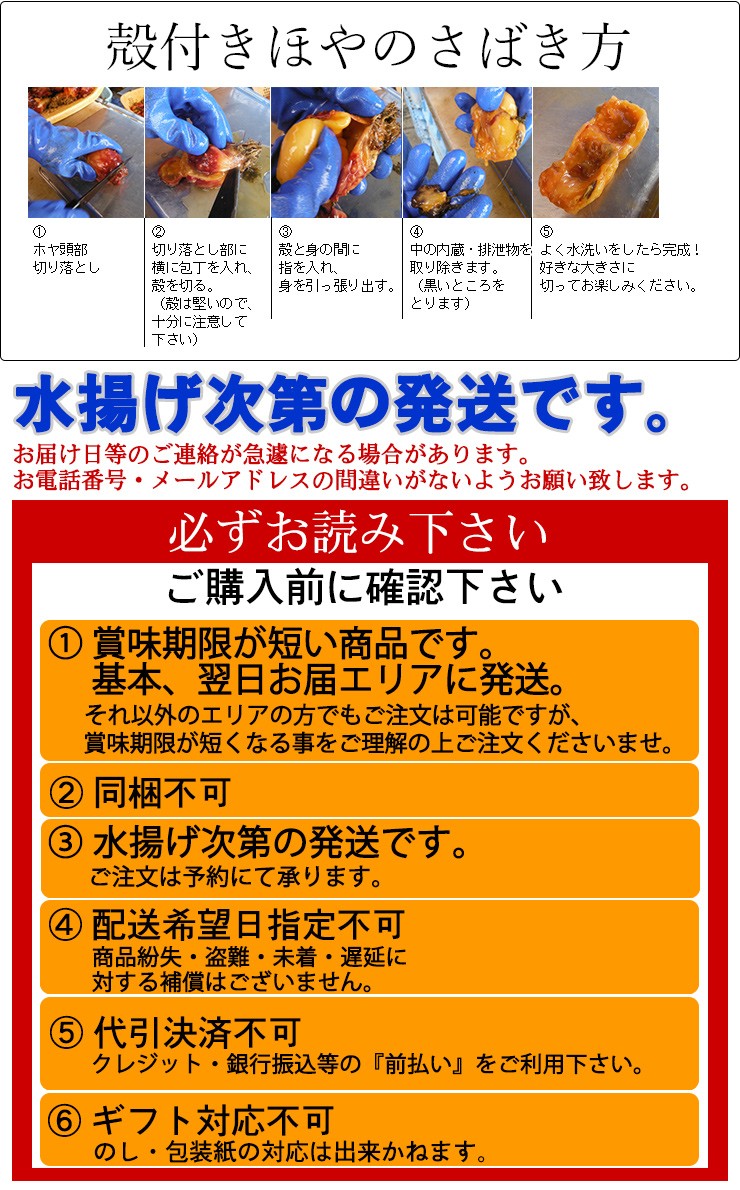 三陸産 殻付きほや4年物 5個 丸繁商店 気仙沼 ほや 珍味 旬 おつまみ お取り寄せ de 気仙沼さん 通販 Yahoo ショッピング