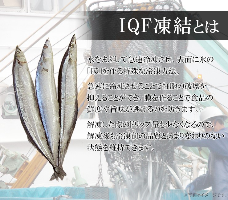 冷凍 さんま 5本 (1本125g以上) 丸繁商店 IQF凍結 気仙沼 三陸 秋刀魚 お取り寄せ おかず :004900127E2123031:気仙沼さん  - 通販 - Yahoo!ショッピング