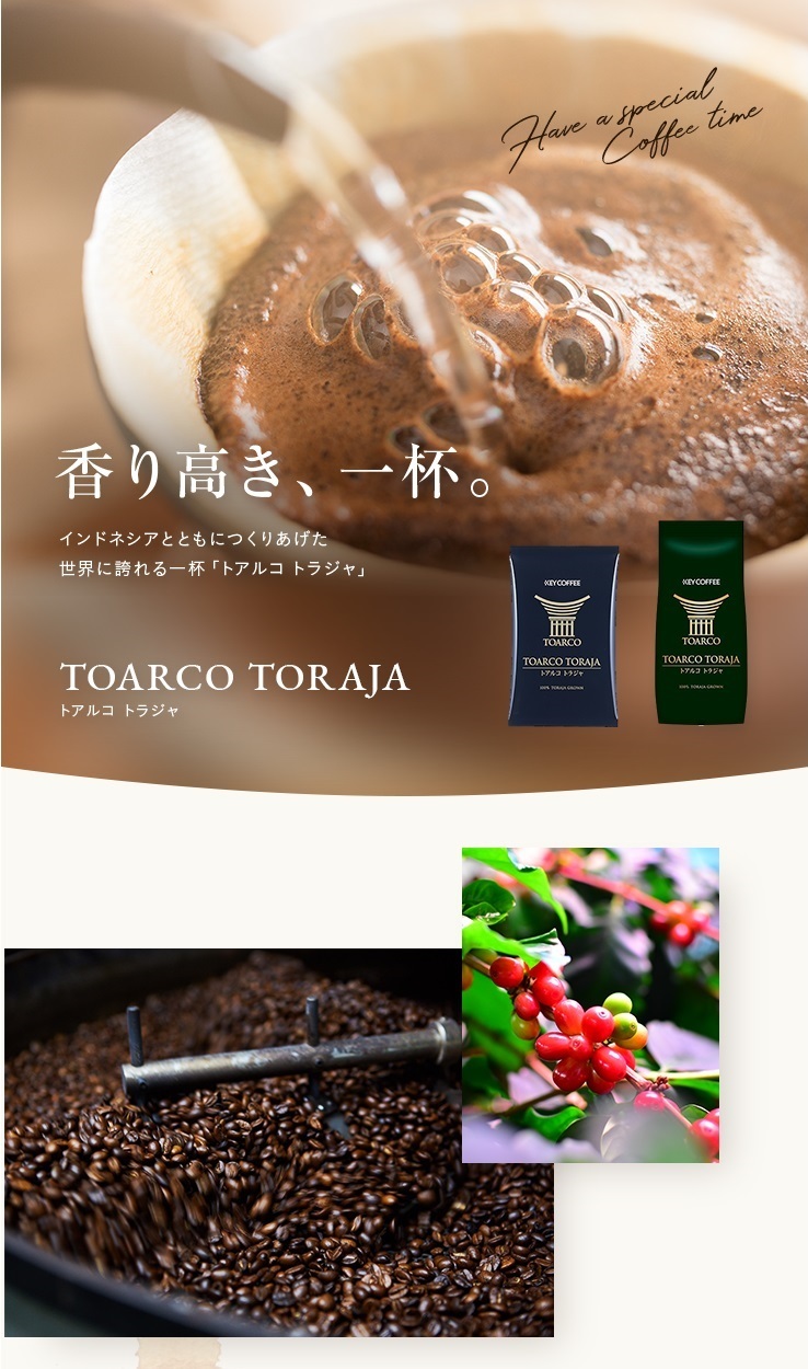 コーヒー コーヒー豆 トアルコ トラジャ 200g × 1袋 インドネシア