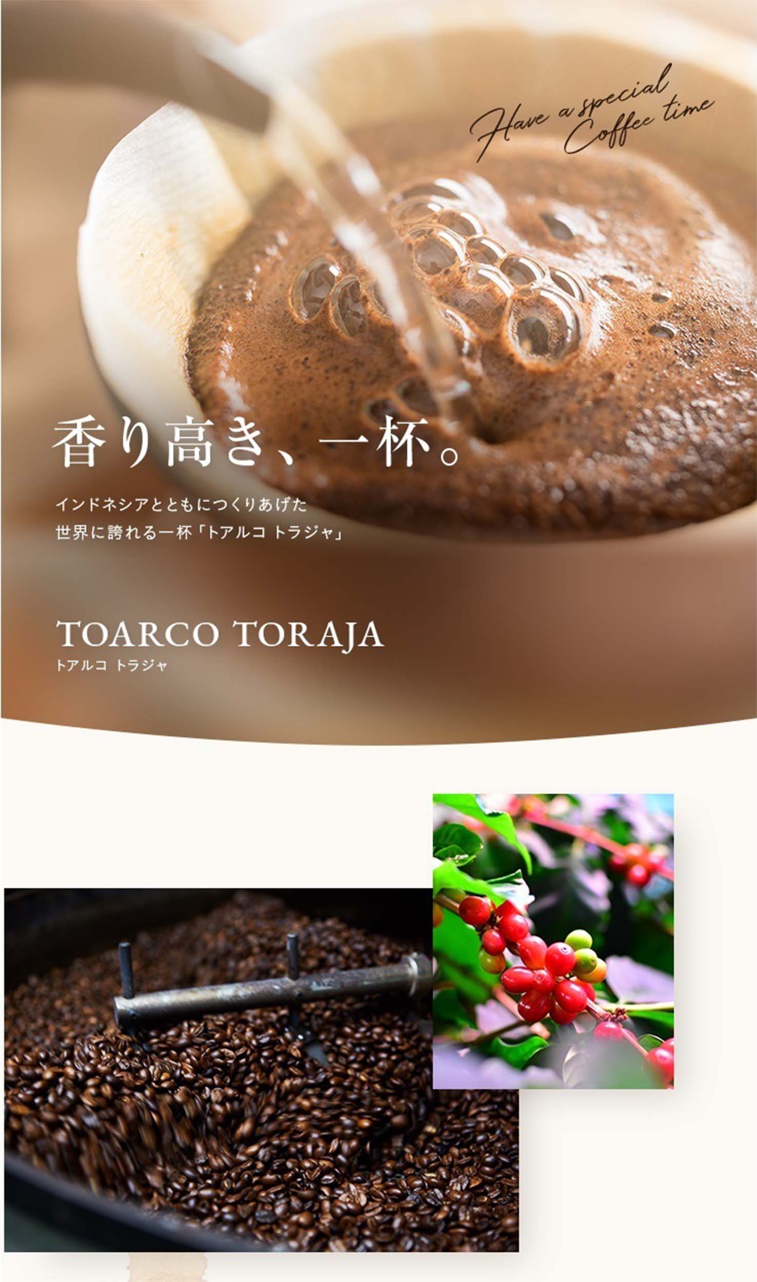 KEY COFFEE コーヒー ドリップコーヒー ドリップ オン トアルコ