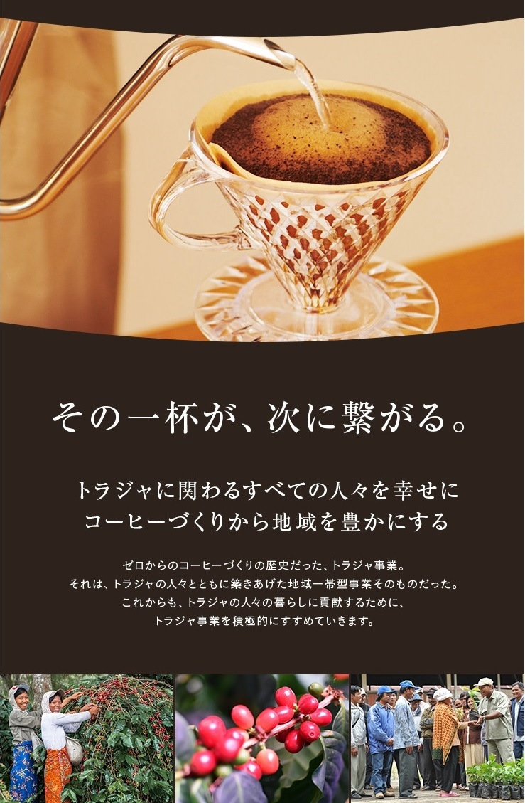 コーヒー コーヒー豆 トアルコ トラジャ 200g × 1袋 インドネシア