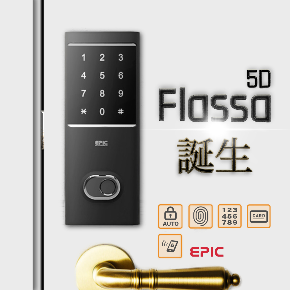 flassa5d_top.jpg