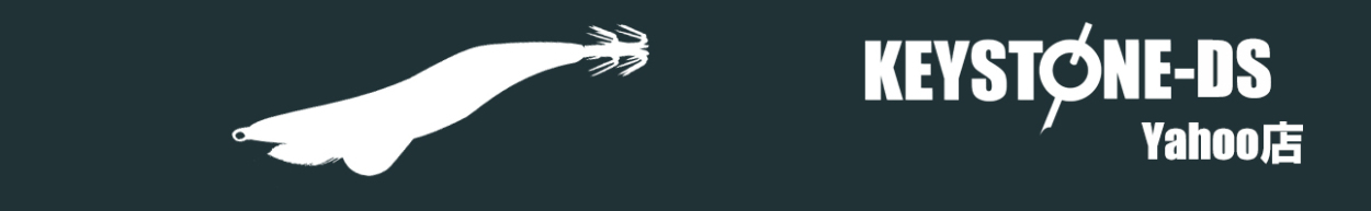 KEYSTONE-DS ヘッダー画像