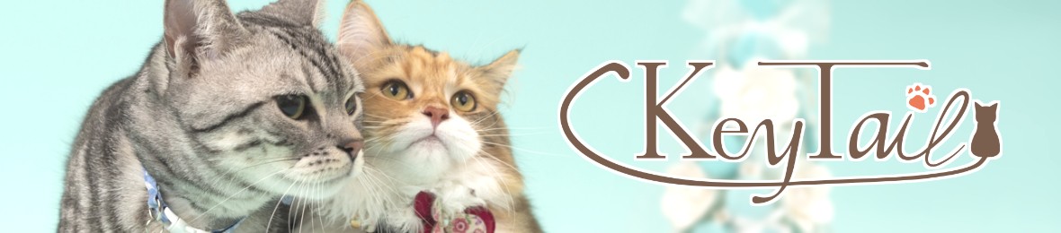 猫の爪とぎ専門店 キーテイル ヘッダー画像