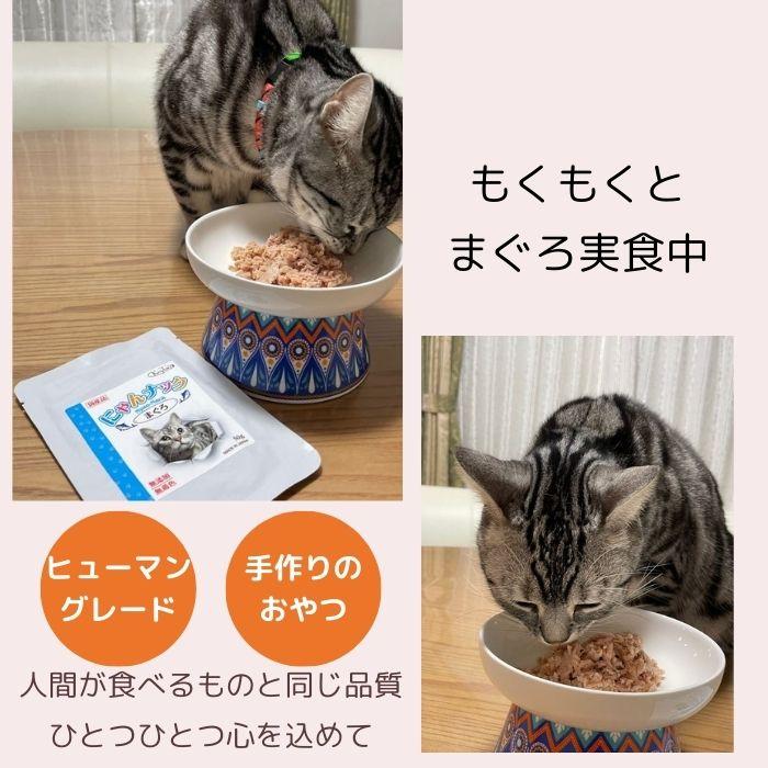 キャットフード 猫 おやつ マグロ ささみ 国産品 無添加 無着色