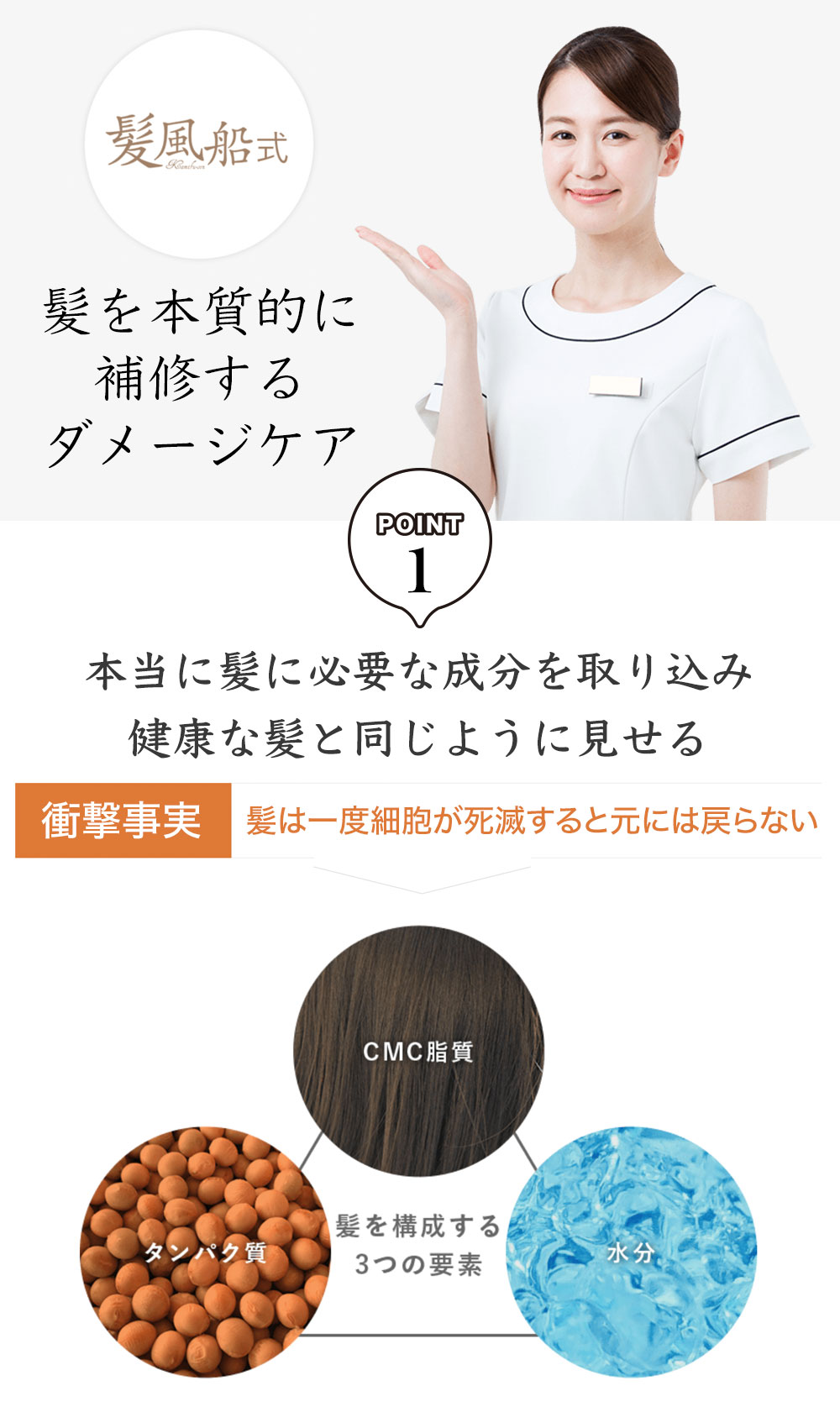 傷んだ髪を補修 ビビリ毛 補修剤 ハイダメージ対応 傷んだ髪を補修 ビビリ毛 補修剤 ハイダメージ対応