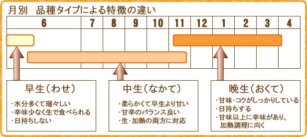 月別　特徴の違い