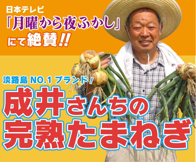 糖度なんと16度以上！成井さんちの完熟たまねぎ（海水たまねぎ）