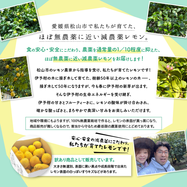 楽天市場】【最大800円OFFクーポン☆5/23 20:00〜5/27 1:59