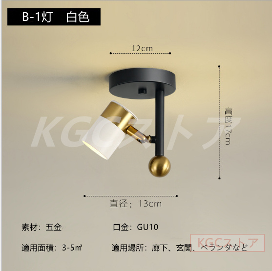 天井照明 シーリングライト 2灯 ダウンライト 室内照明器具 LED