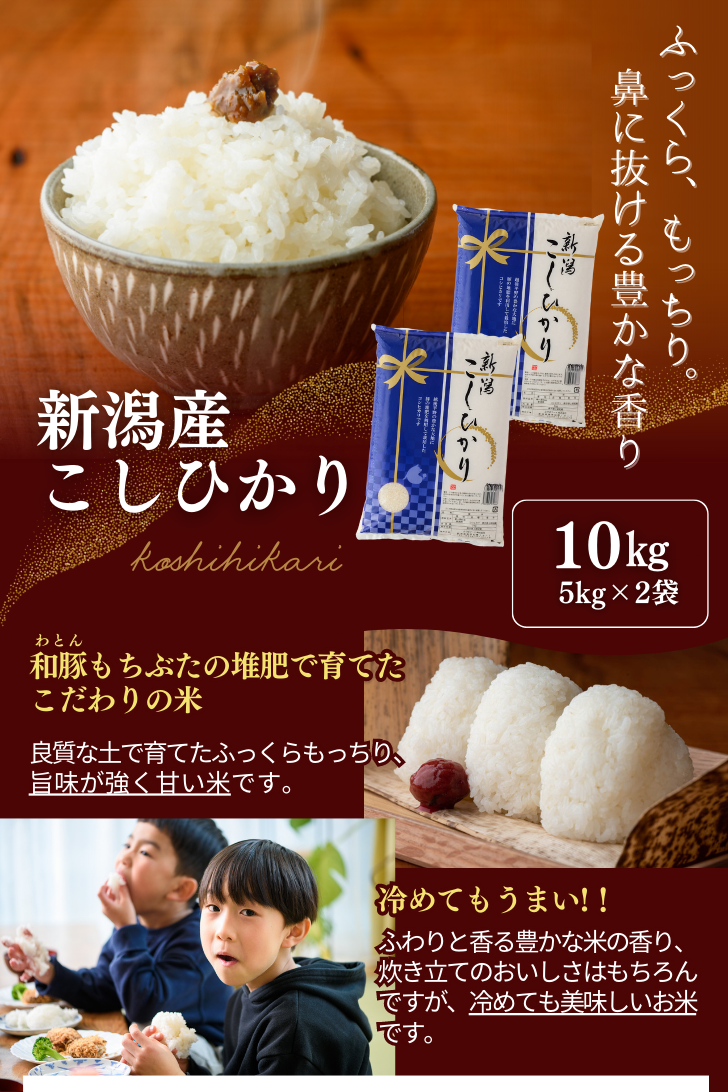 お歳暮 2024 米 ギフト 新米 令和6年産 米 10kg 新潟県産 コシヒカリ 5kg×2袋 受注精米 白米 精米 甘い 減農薬 農家 直送  送料無料 （一部地域を除く） : s10 : お肉 と 新潟米 の とみおか ギフト お歳暮 - 通販 -