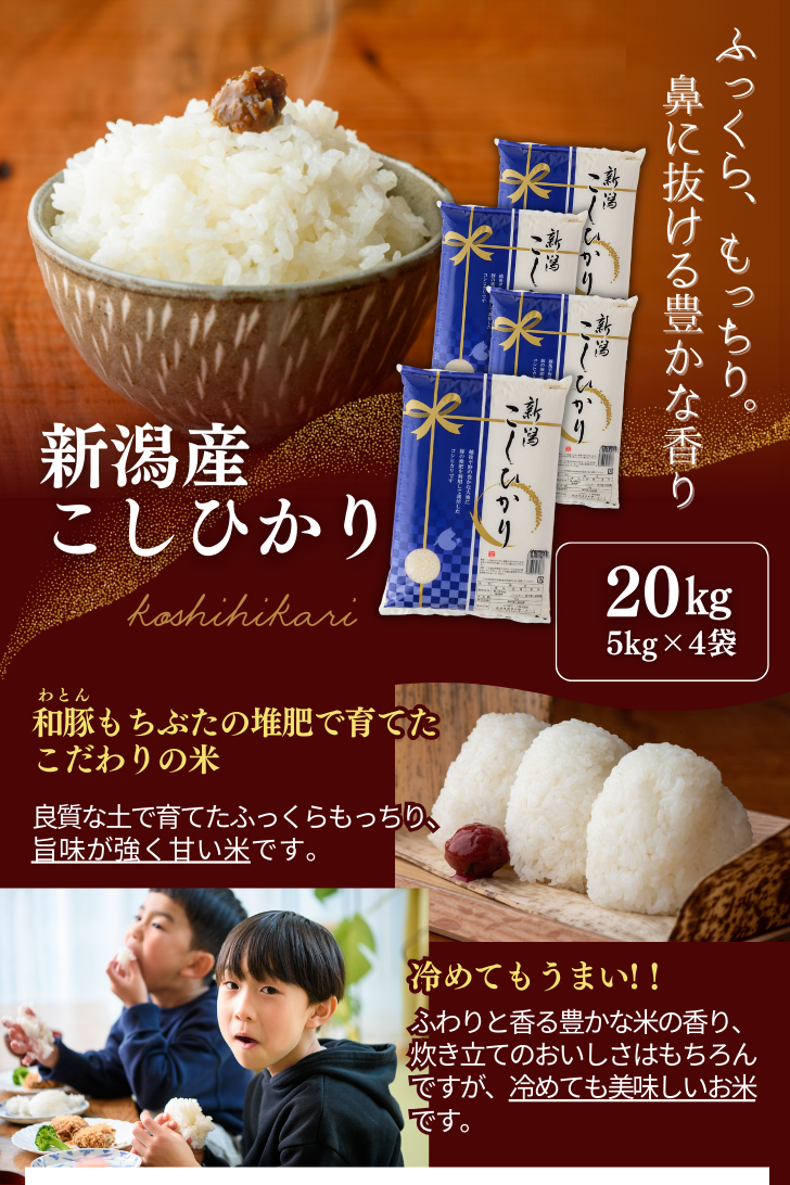 5年産 米 新潟産 こしひかり 20kg 受注してから精米します お歳暮 米