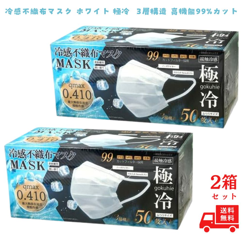 冷感マスク 不織布 50枚 夏用 大きめ 小さめ 日本製 マスク 冷感 ヒロコーポレーション 極冷 夏用 大きめ 3層構造 極冷 冷たい 接触冷感 ひんやり ふつう 2個 | ヒロ・コーポレーション