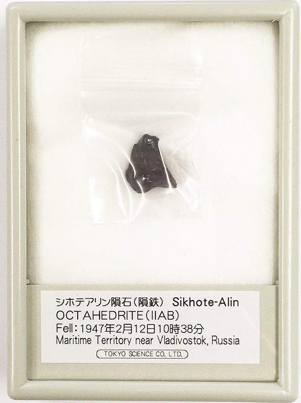 シホテアリン隕石（隕鉄）Sikhote-Alin OCT AHEDRITE(IIAB) Fell:1947