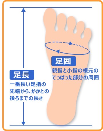 子供靴通販 キッズステップ 靴のサイズの選び方 Yahoo ショッピング