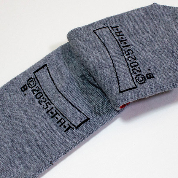 BANDAI（バンダイ） 仮面ライダーゼッツ スニーカーソックス フィジ