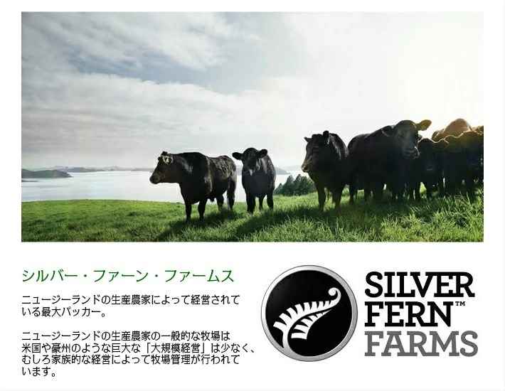 ニュージーランド産シルバーファーン・ファームス社製牛フラップミート(カイノミ)ブロック1.0kg-1.2kg silver fern ferms  flap meat whole :flapmeatnz:プレミアムデリカわたせいヤフー店 通販 