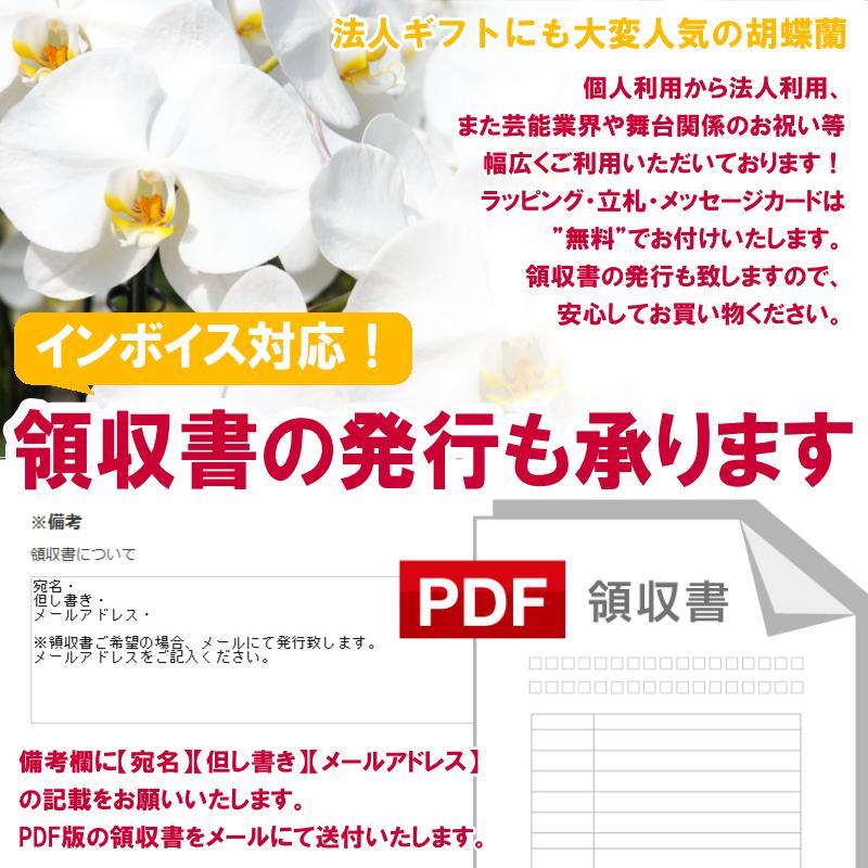 生花 お祝い用アレンジメント 10,500円｜kihana-shop｜04