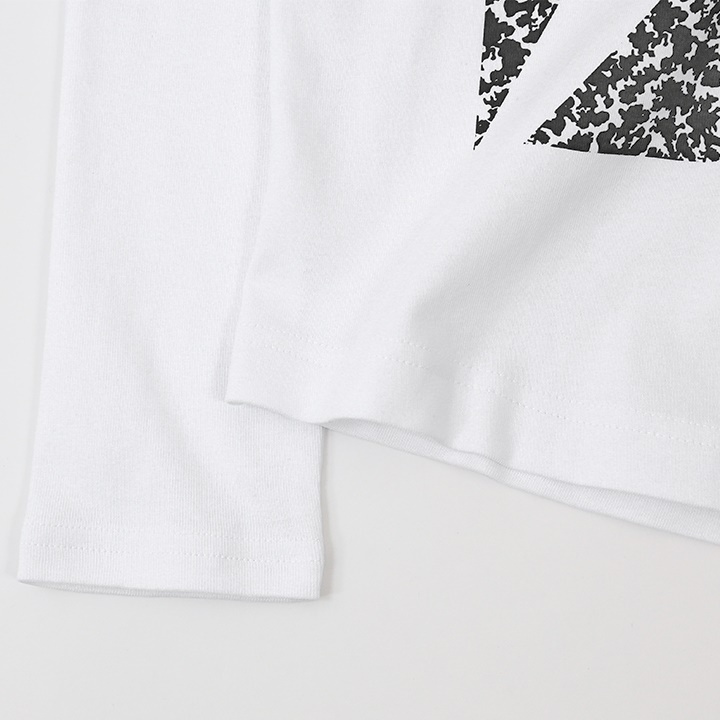 ジースターロウ G-Star RAW 長袖Tシャツ カットソー メンズ ロゴプリント コットン ロンT PRUNTON R T L/S