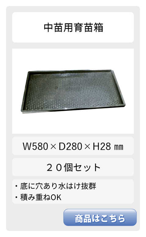 中苗用