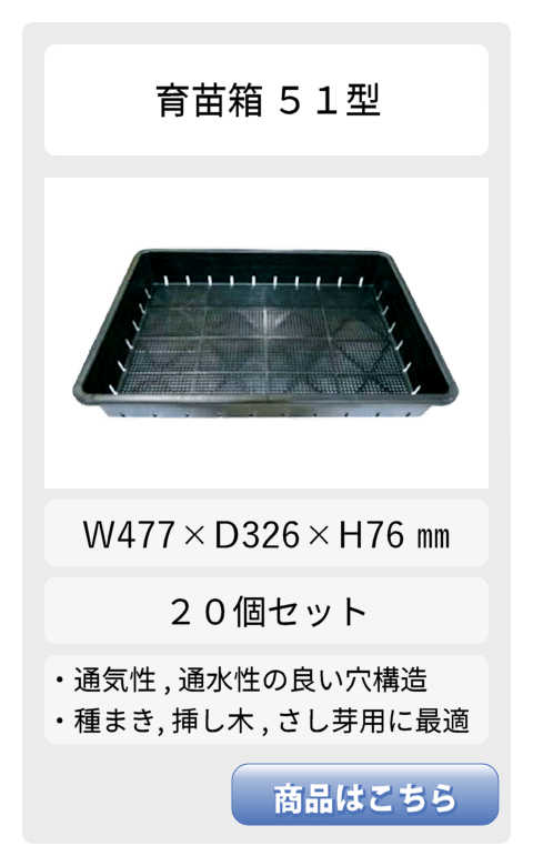 51型