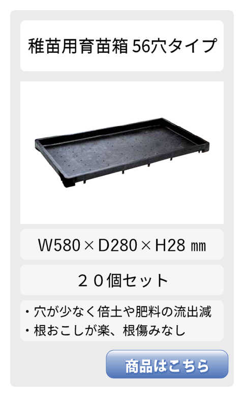56穴