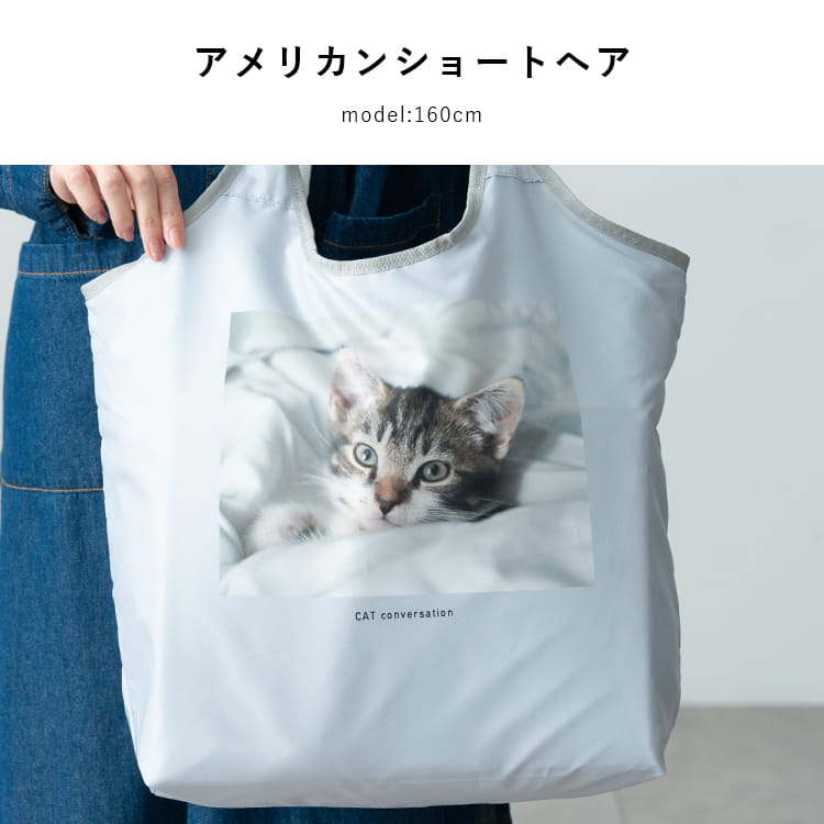 可愛い猫パネル保冷・保温バッグ型ケース-5 お取り置き中（4/2） エコバッグ 保冷 保温 洗える 折りたたみ コンパクト 猫 大容量 a4