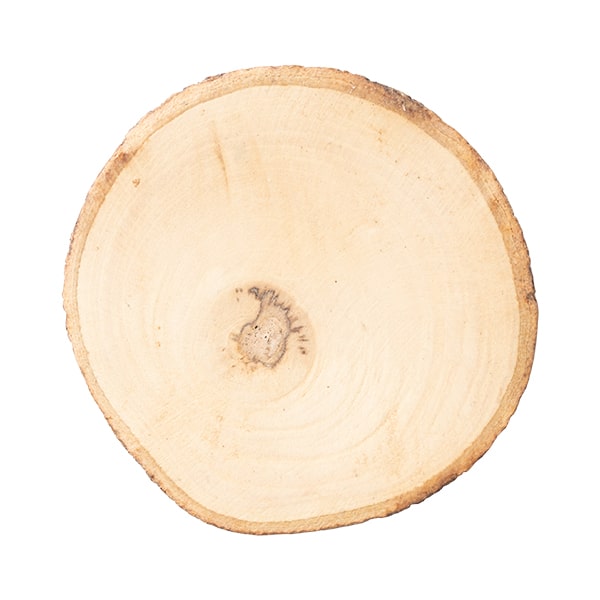 コースター 木製 名入れ無料 ギフト 切り株 マンゴーウッド おしゃれ