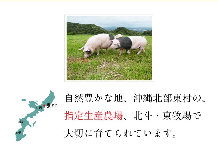 ギフト 沖縄県産 あぐー豚 しゃぶしゃぶ用 ロース肉 300g×3セット :ok-agu-a001:沖縄 喜島商店 - 通販 -  Yahoo!ショッピング