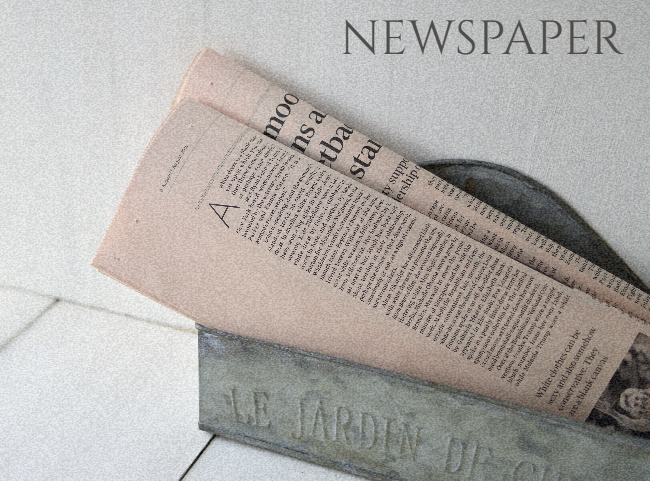  英字新聞、フィナンシャルタイムズのディスプレイ時のイメージ画像