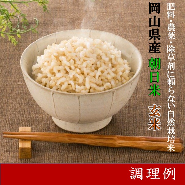 新米 令和５年産 玄米 10kg 送料無料 朝日米 おかやま 自然栽培 岡山県