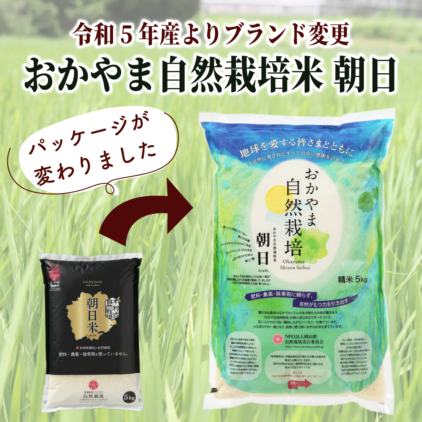 朝日米のおすすめ人気商品一覧 通販 - Yahoo!ショッピング 朝日米のおすすめ人気商品一覧 通販 - Yahoo!ショッピング