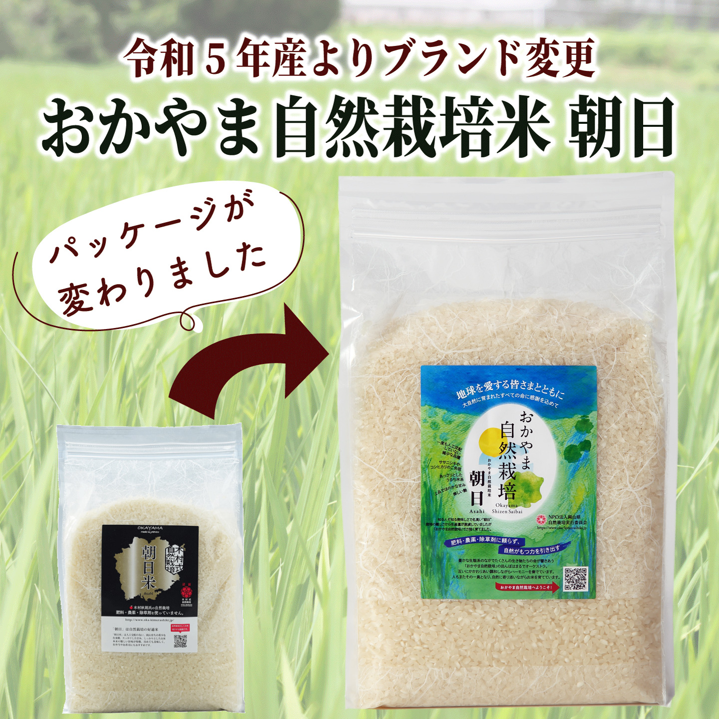 米 [ 令和6年産 予約 ] 2kg 白米 自然栽培 朝日米 送料無料 岡山県産 ごはん 農薬 肥料 に頼らない おかやま 自然栽培米 : r0003  : 岡山の酒 燦然 菊池酒造株式会社 - 通販 - Yahoo!ショッピング