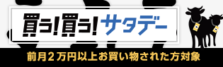 買う！買う！サタデー