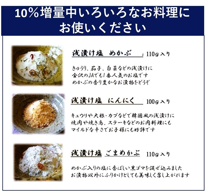 にんにく塩 100g 塩 浅漬け塩 ガーリックソルトペペロンチーノ