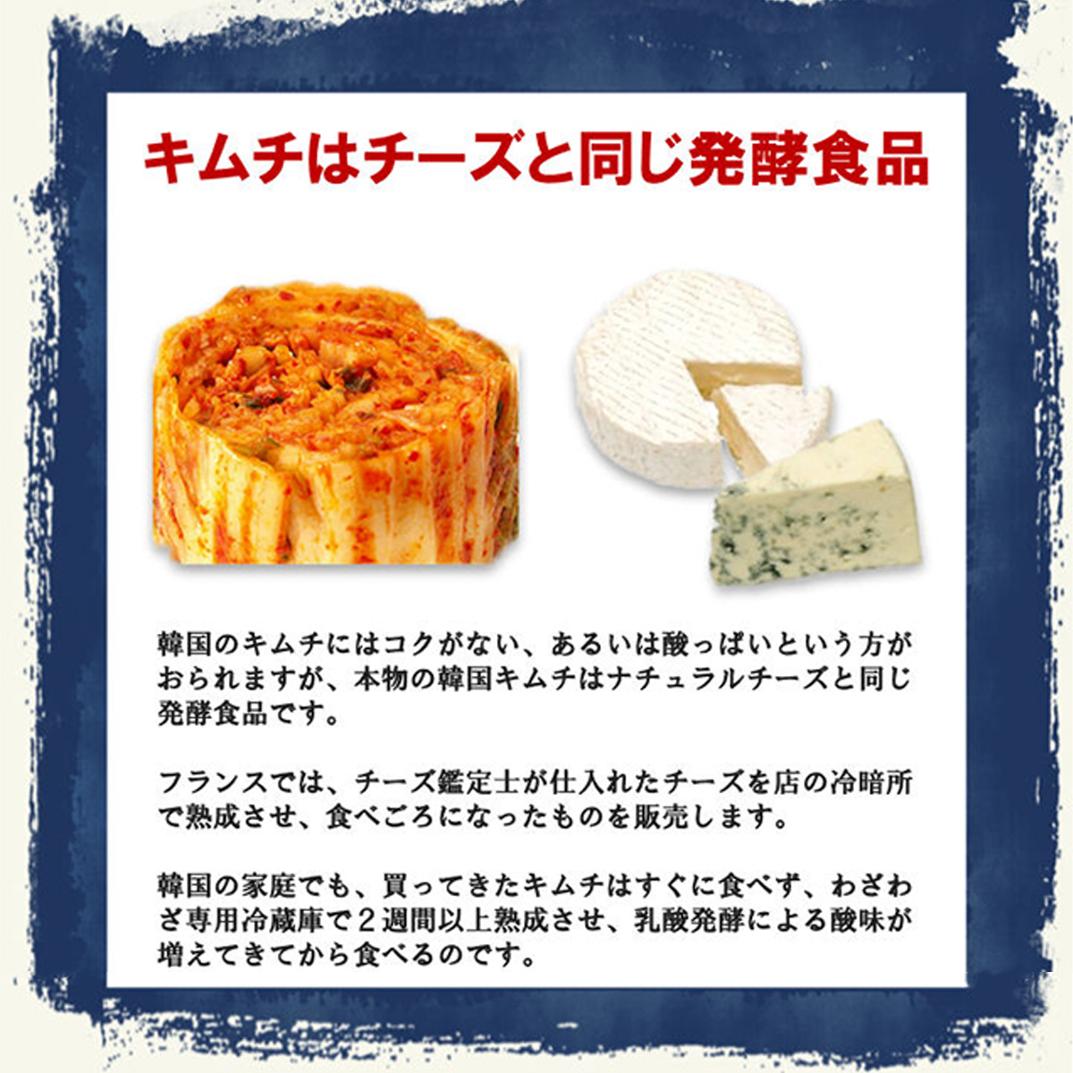 キムチはチーズと同じ発酵食品