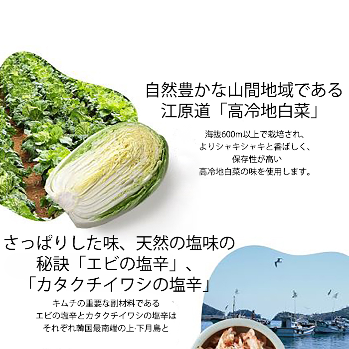 本格的キムチチゲ