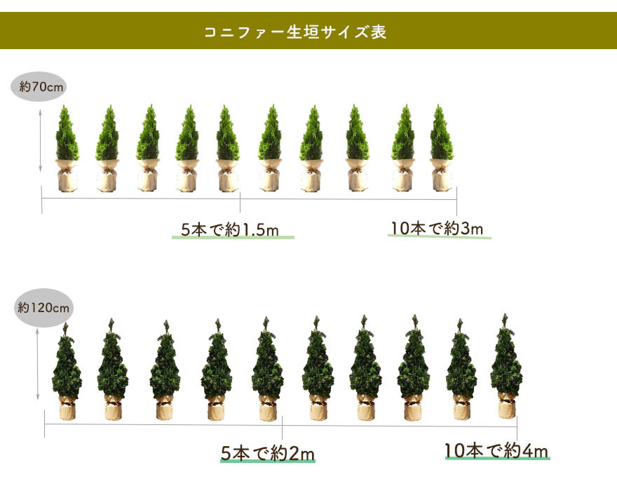 サツキ ツツジ 約30cm 皐月 植木 庭木 苗 ガーデニング 常緑低木 盆栽 園芸 和風 花 さつき : ai-satsuki : KIMIDORI  FARM Yahoo!店 - 通販 - Yahoo!ショッピング