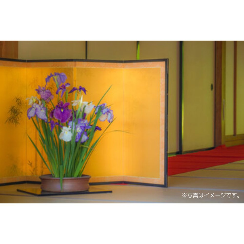 金屏風 極上 4枚合わせ1組 屏風 各種 式場 イベント 斎場 催し物 送料無料
