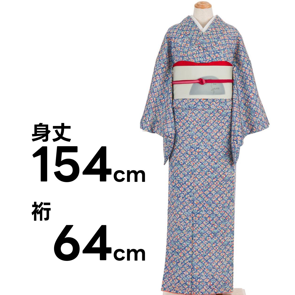 訪問着 身丈162cm 裄丈66.5cm M 袷 草花 波 絞り 金彩 灰緑 正絹 名品 中古