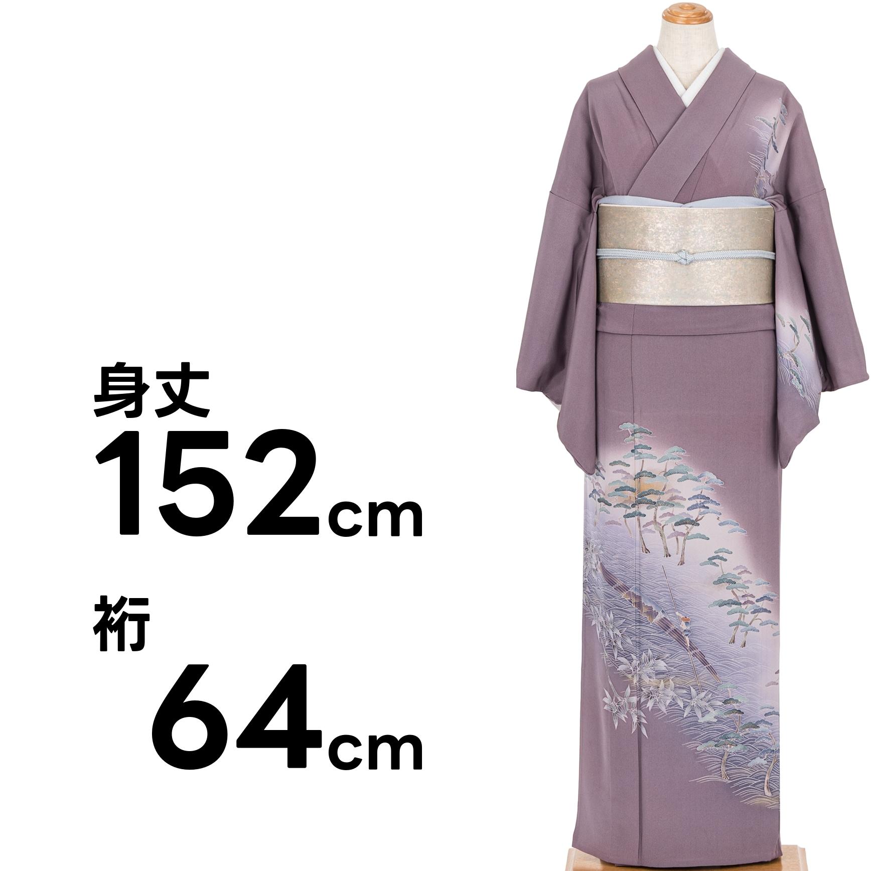 単衣 付け下げ訪問着 川下り模様 : 新品・リユース着物の通販 からん 