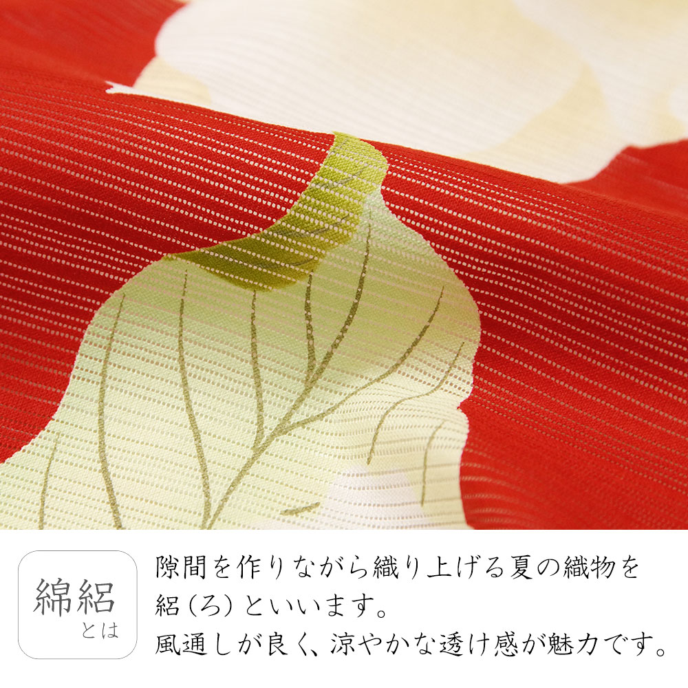夏着物 綿絽 岡重 泰山木 花 赤 黄色 古典柄 レディース 30代 40代 50