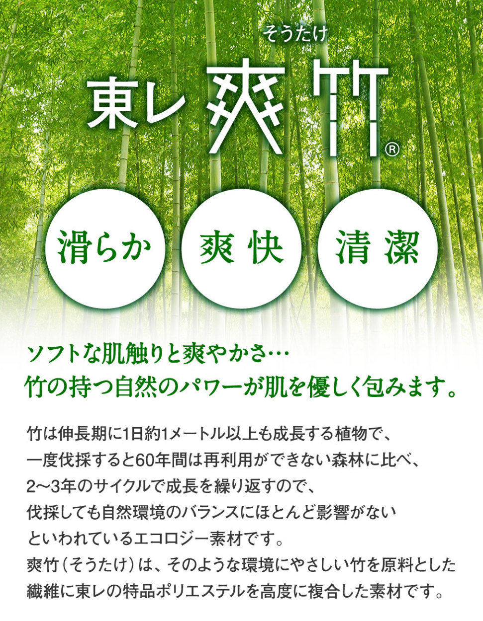 東レ爽竹×セオアルファ 紙人形仕立て 立体裁断縫製 夏用長襦袢