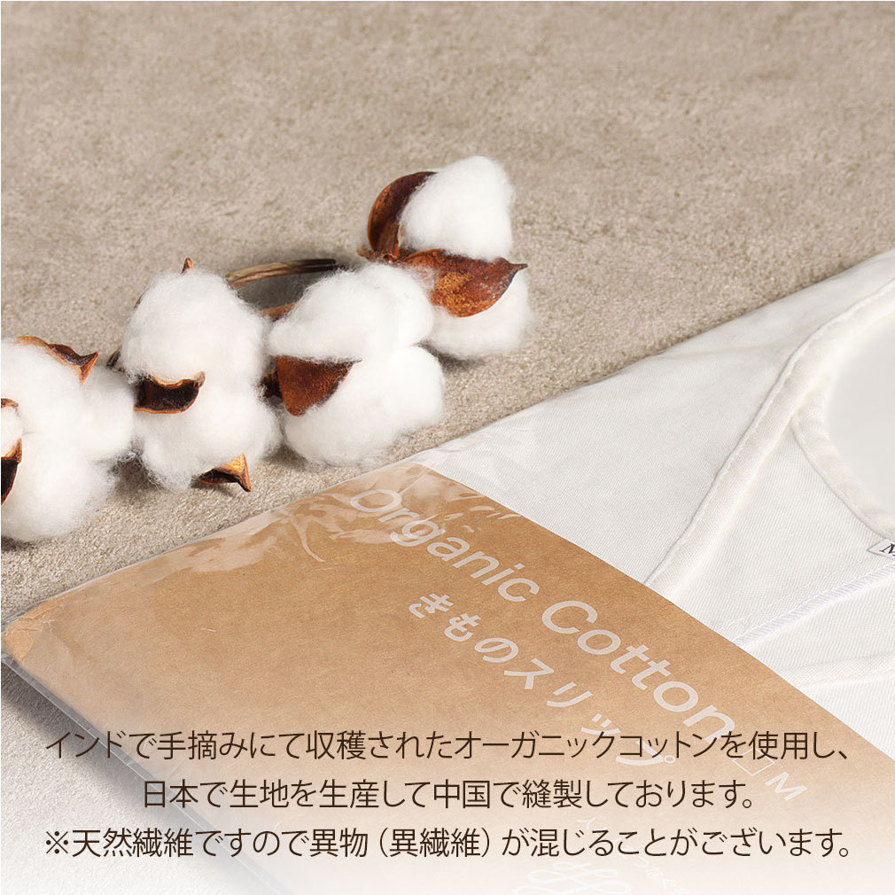 きものスリップ