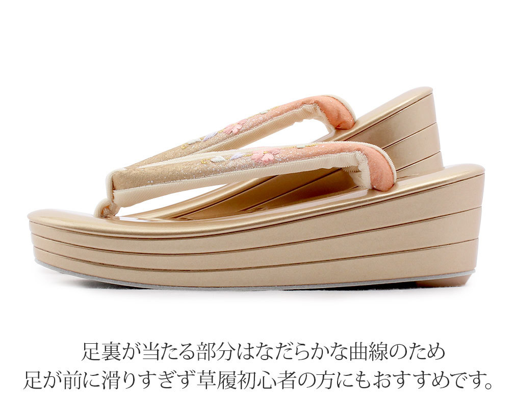振袖用,袴用,訪問着用,刺繍花緒草履