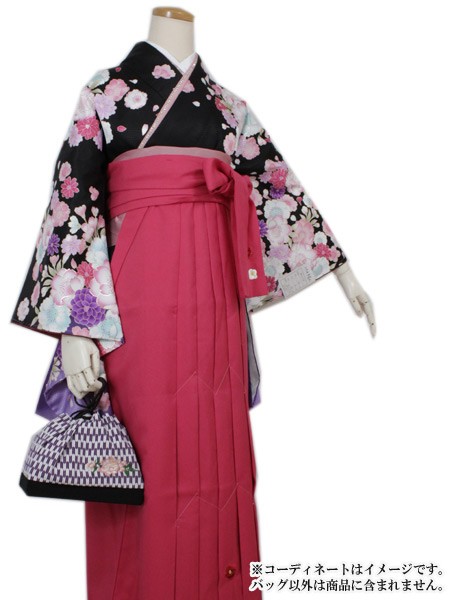 成人式 バッグ 着物 振袖 袴 卒業式 単品 かばん 巾着 紫 矢羽根 矢絣